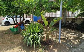 Floras House